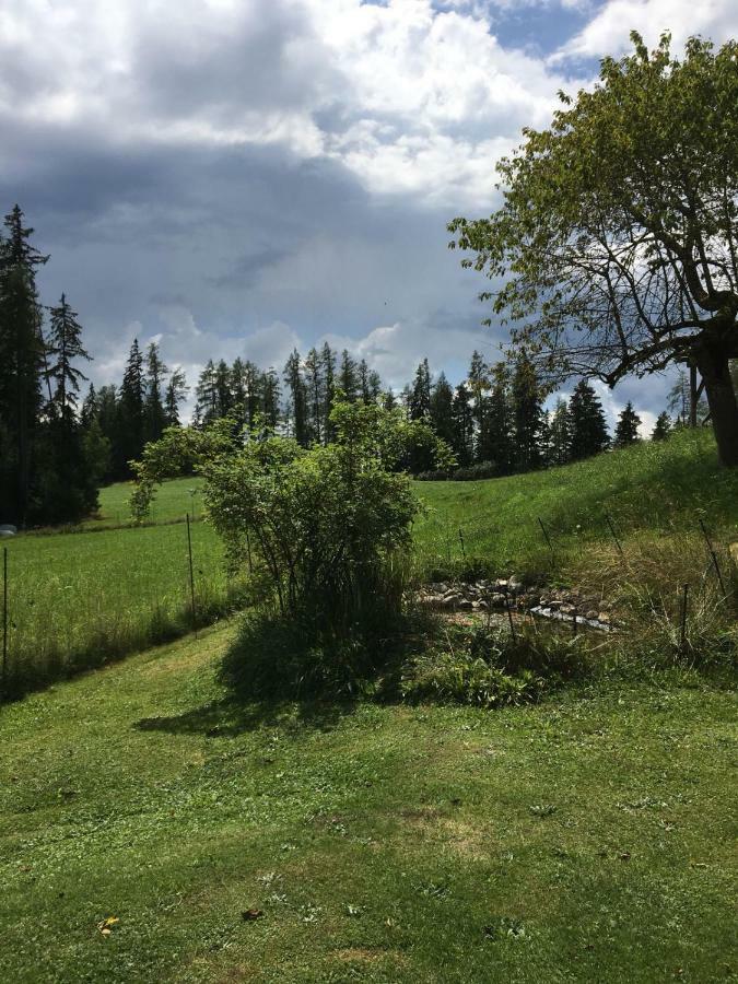 Haus Katrin Villa Sankt Marein bei Knittelfeld Exteriör bild